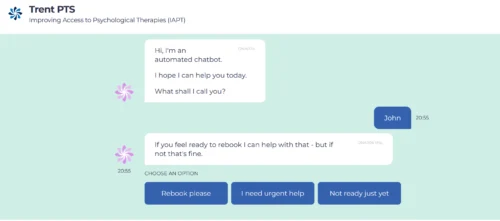 DNA chatbot application interface